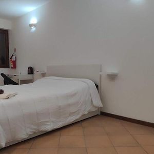 Camera grande con letto king size